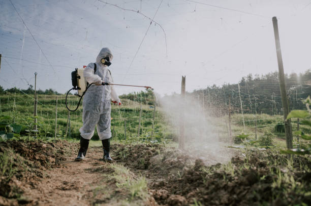 Best Best Pest Control Companies  in Newberry, MI