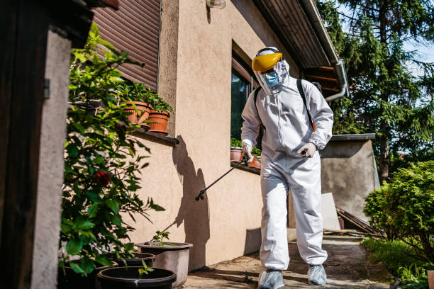 Reliable Newberry, MI Pest Control Solutions