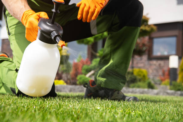 Best Ant Control Services  in Newberry, MI