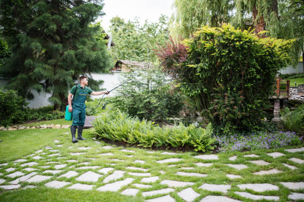 Best Best Pest Control Near Me  in Newberry, MI