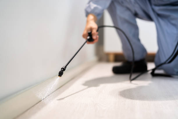 Best Pest Prevention Services  in Newberry, MI