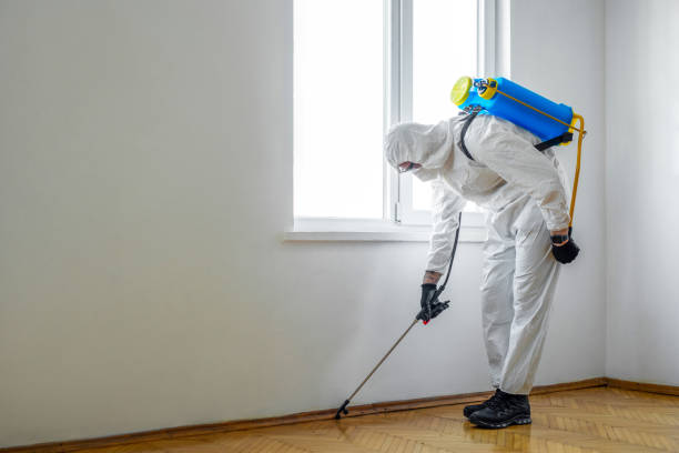 Best Wildlife Control Services  in Newberry, MI