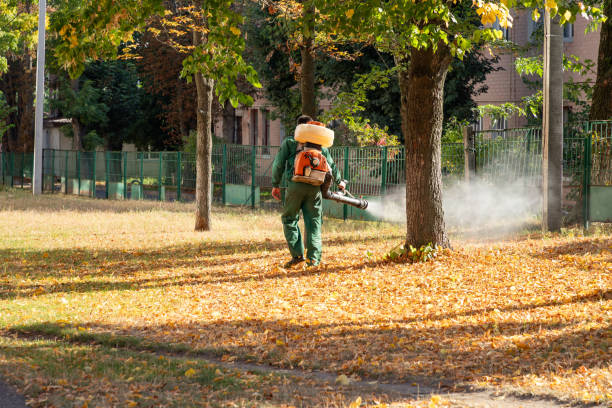Best Bird Control  in Newberry, MI