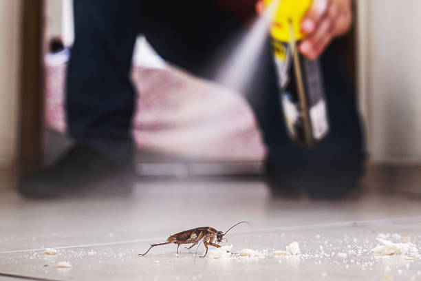 Best Emergency Pest Control  in Newberry, MI
